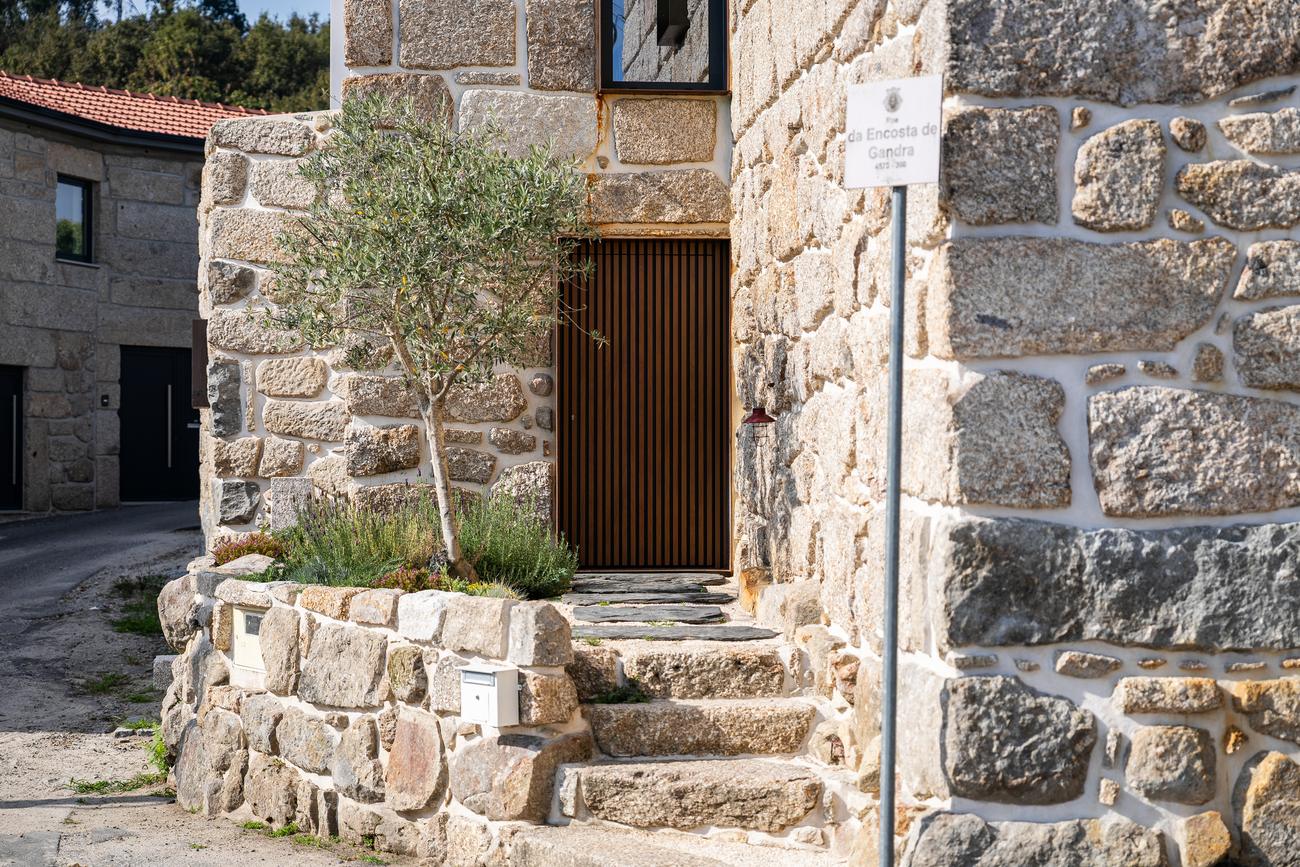 Porta em madeira e escadas em pedra junto a uma oliveira — Casas da Giesteira, Termas de São Vicente, Penafiel